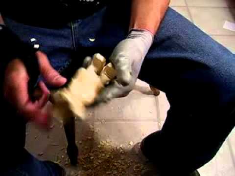 Carving a Cowboy Part 7