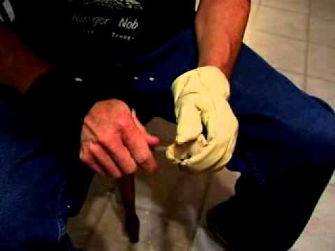 Carving a Hound Dog Part 2