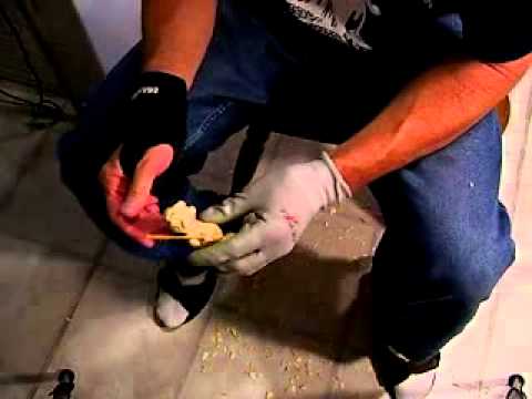 Carving a Mini Hobo Part 7