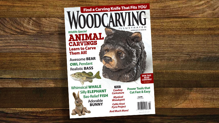 Claim Your FREE Downloadable Mini-Issue!